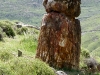 S0910_0112_forum_Arbre_04