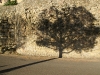 S0910_0112_forum_Arbre_08
