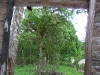 S0910_0112_forum_Arbre_09