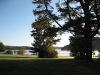 S0910_0112_forum_Arbre_12