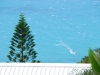 S0910_0112_forum_Arbre_13