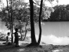S0910_0112_forum_Arbre_15