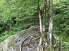 S0910_0112_forum_Arbre_19