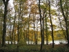 S0910_0112_forum_Arbre_20