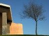 S0910_0112_forum_Arbre_22