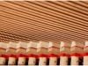 1112-forum_detail_afo1