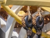 1112-forum_detail_jb1mb1