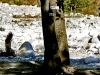 Photo  (10)