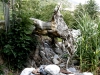 Photo  (13)