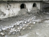 Photo  (14)