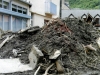 Photo  (16)