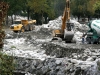 Photo  (19)