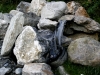 Photo  (28)