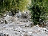 Photo  (29)