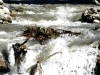 Photo  (3)