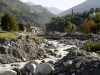 Photo  (5)