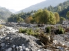 Photo  (6)