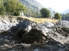 Photo  (7)