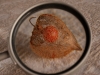 1314_Forum_Transparence_23