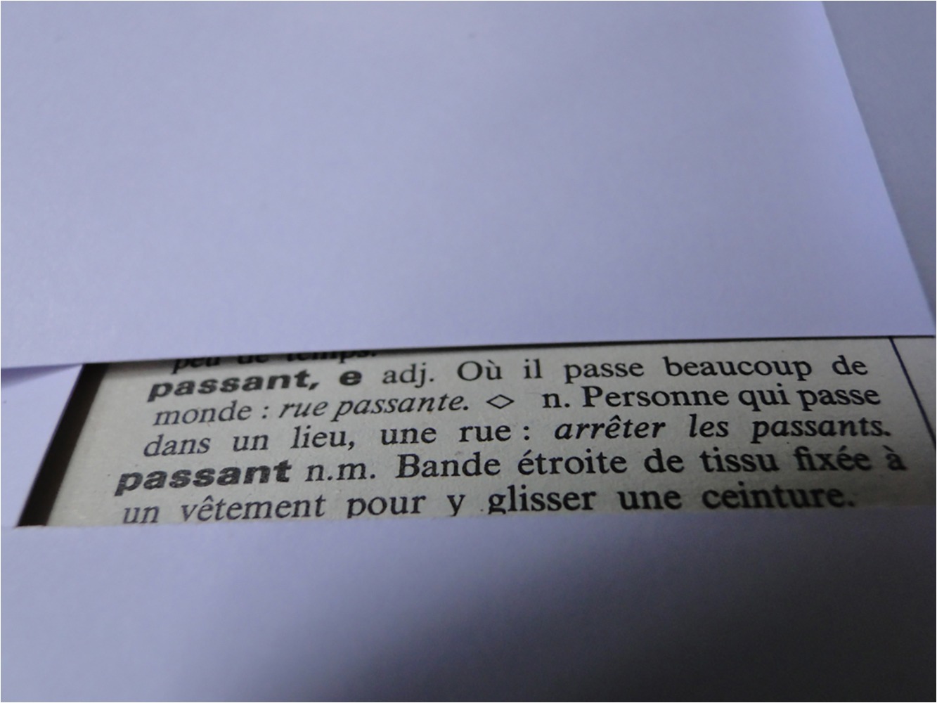 1213 Rallye Passant 18