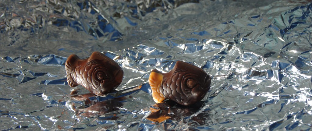 1415 Forum Poisson 16