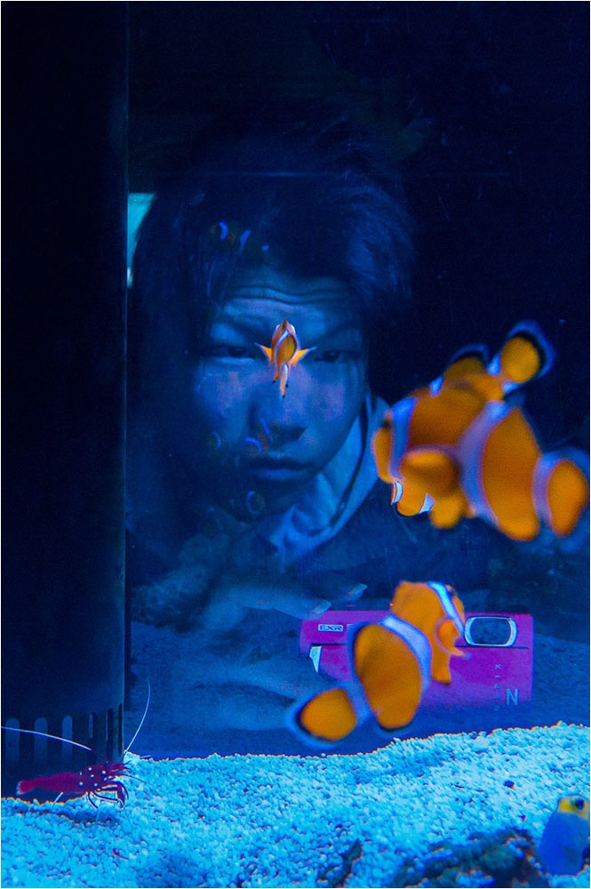 1415 Forum Poisson 6