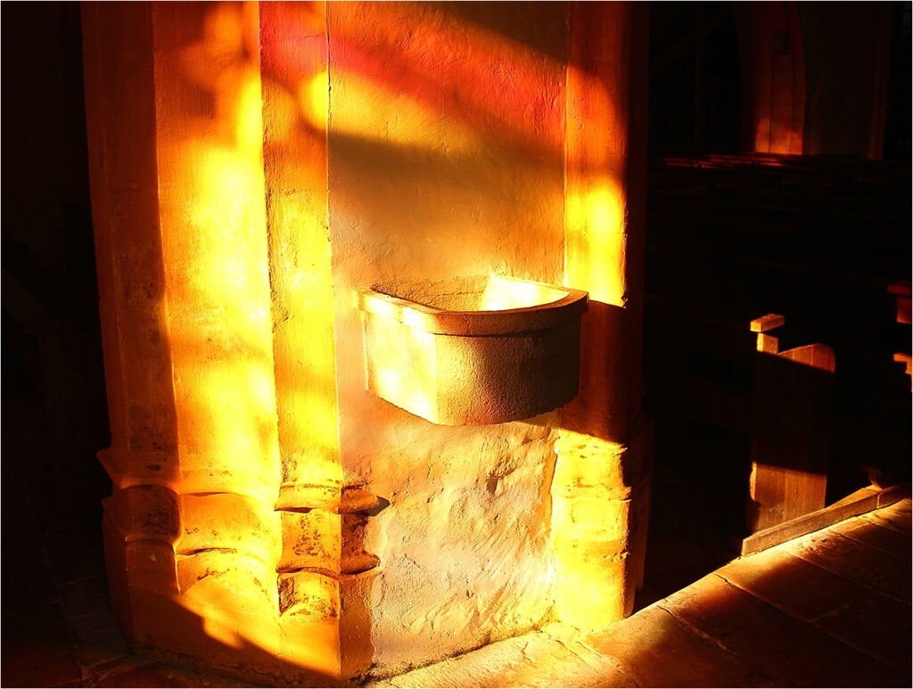 1516 Forum Lumiere 14