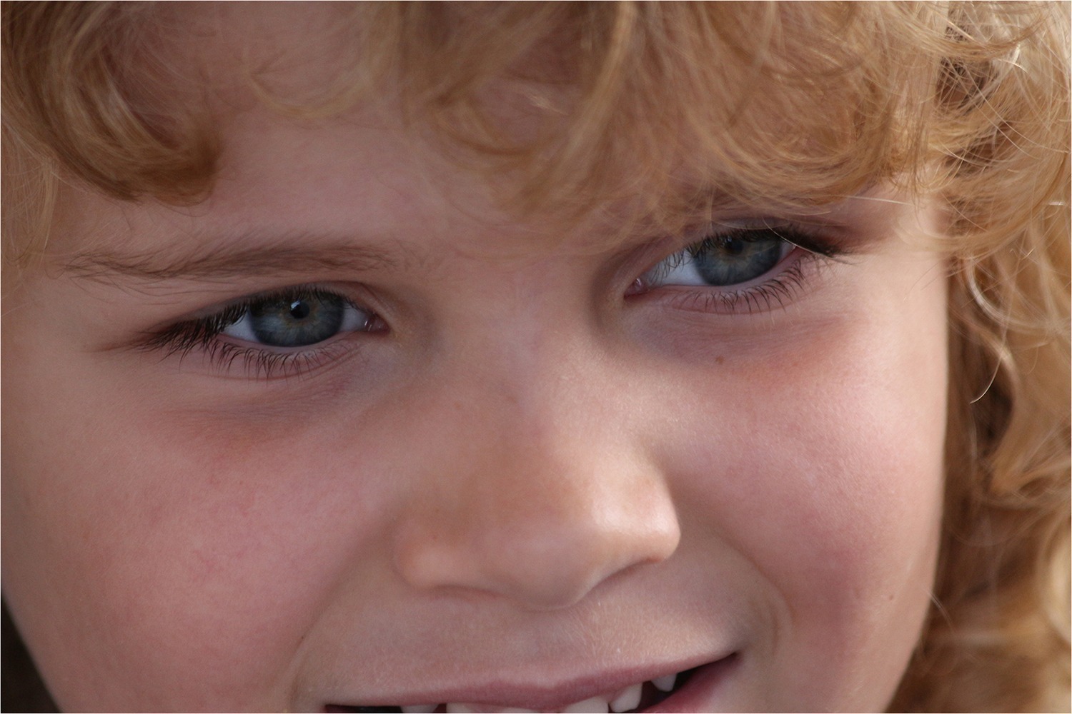 1516 rallye Regard 12