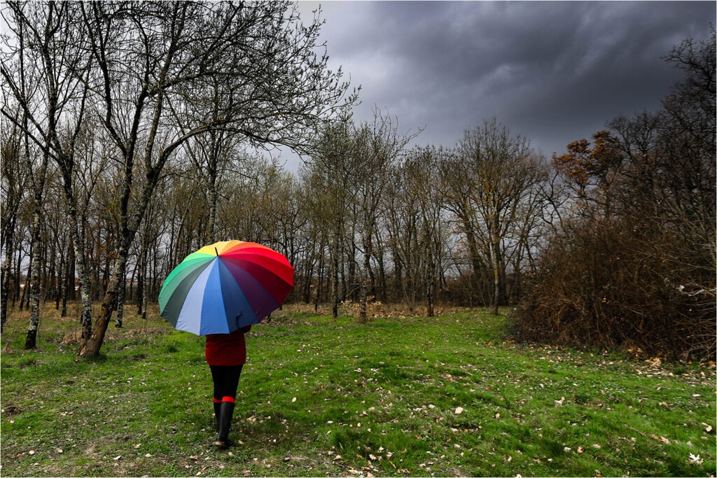 1519 Forum Meteo 24