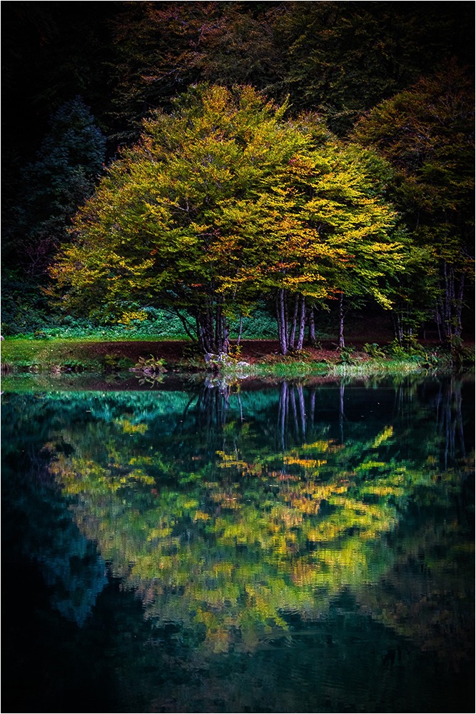 1617 Forum Automne 03