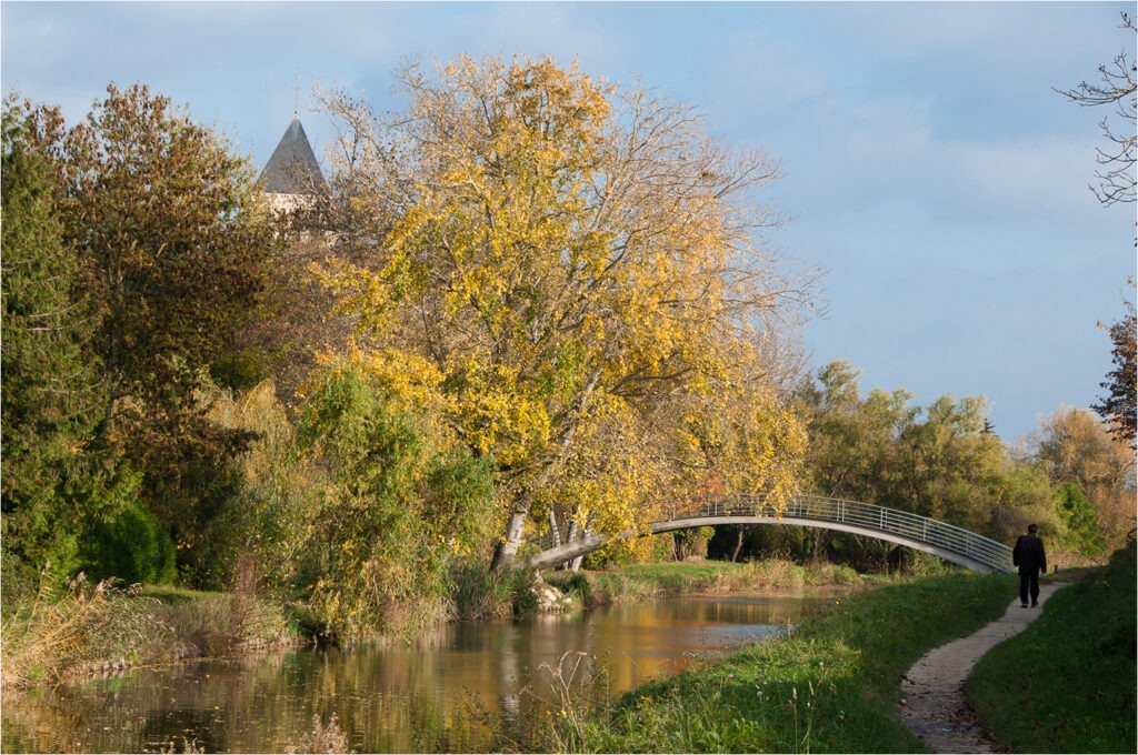1617 Forum Automne 05