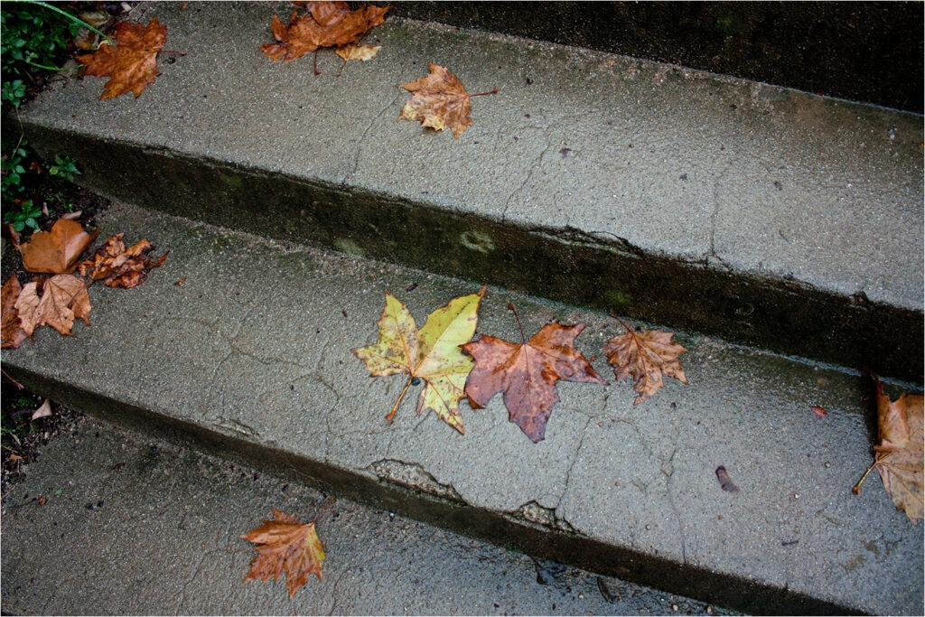 1617 Forum Automne 09