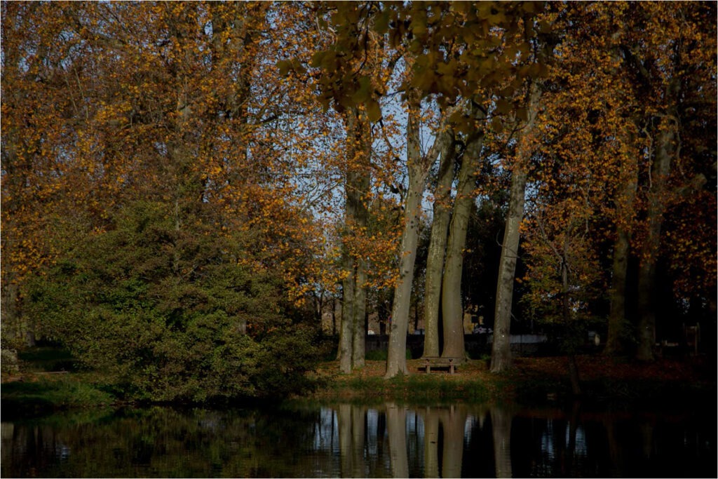 1617 Forum Automne 23