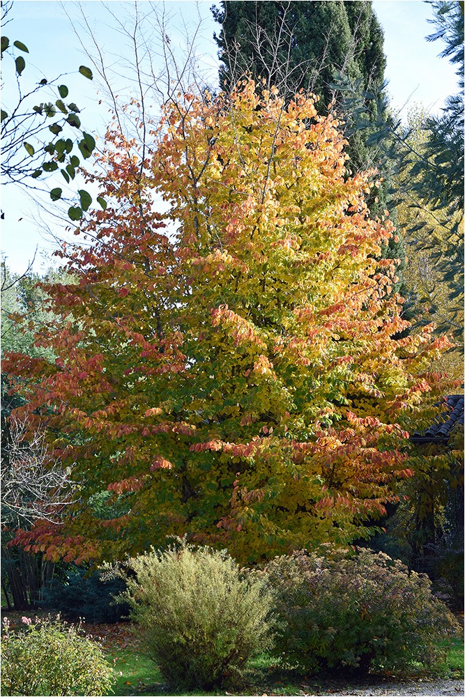 1617 Forum Automne 25