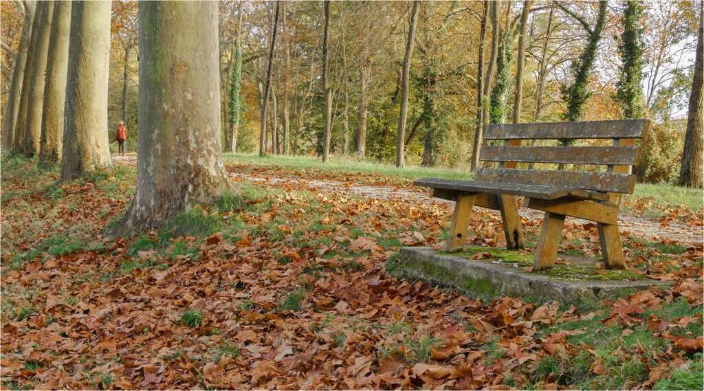 1617 Forum Automne 26