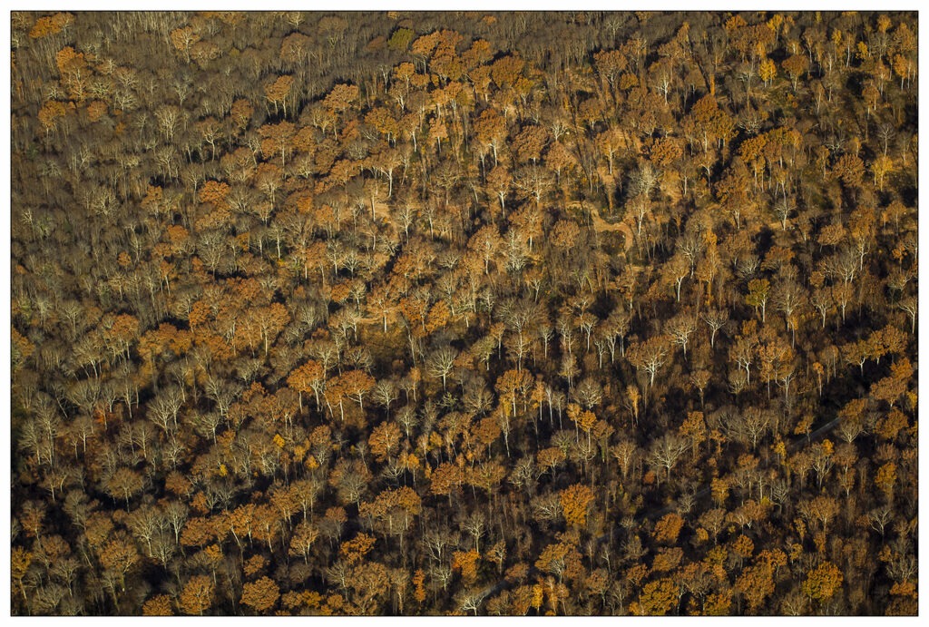 1617 Forum Automne 40