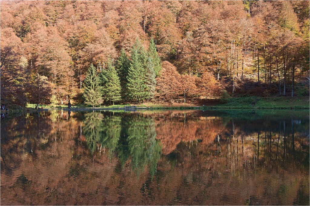 1617 Forum Automne 49