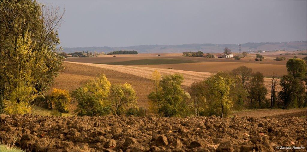 1617 Forum Automne 50