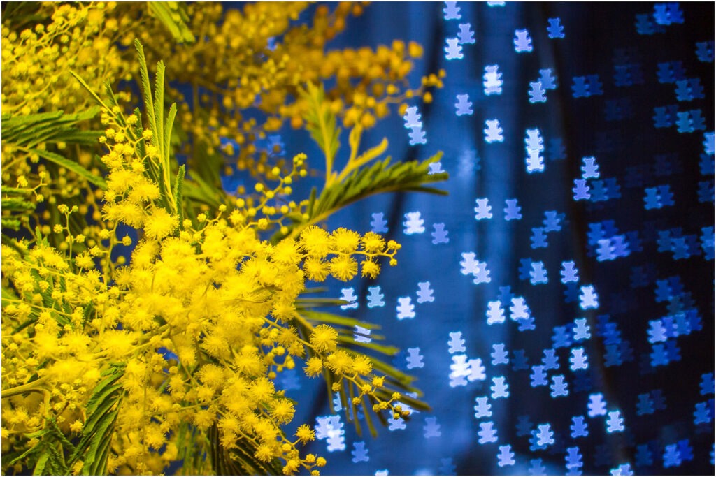1718 Forum Bockeh 1 10