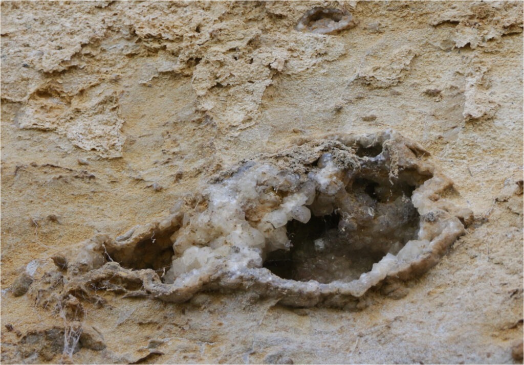 1718 Forum Texture1 14