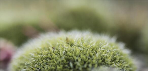 Texture