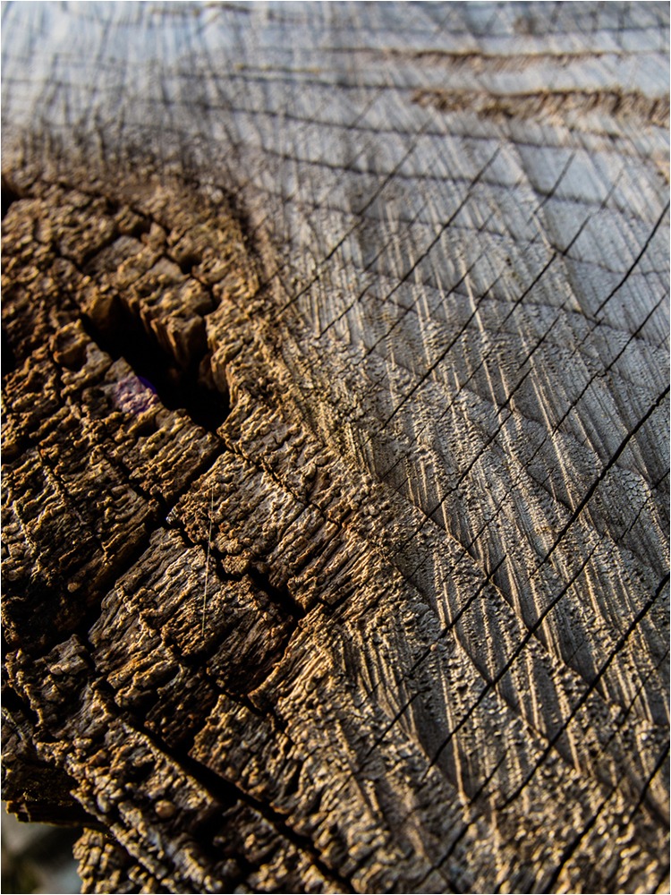 1718 Forum Texture2 10