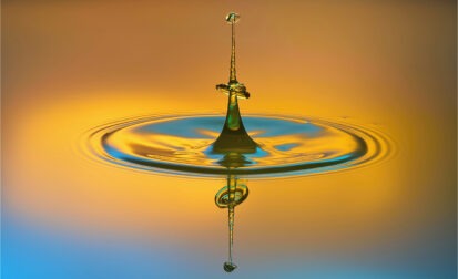 1819 Forum Liquide 12