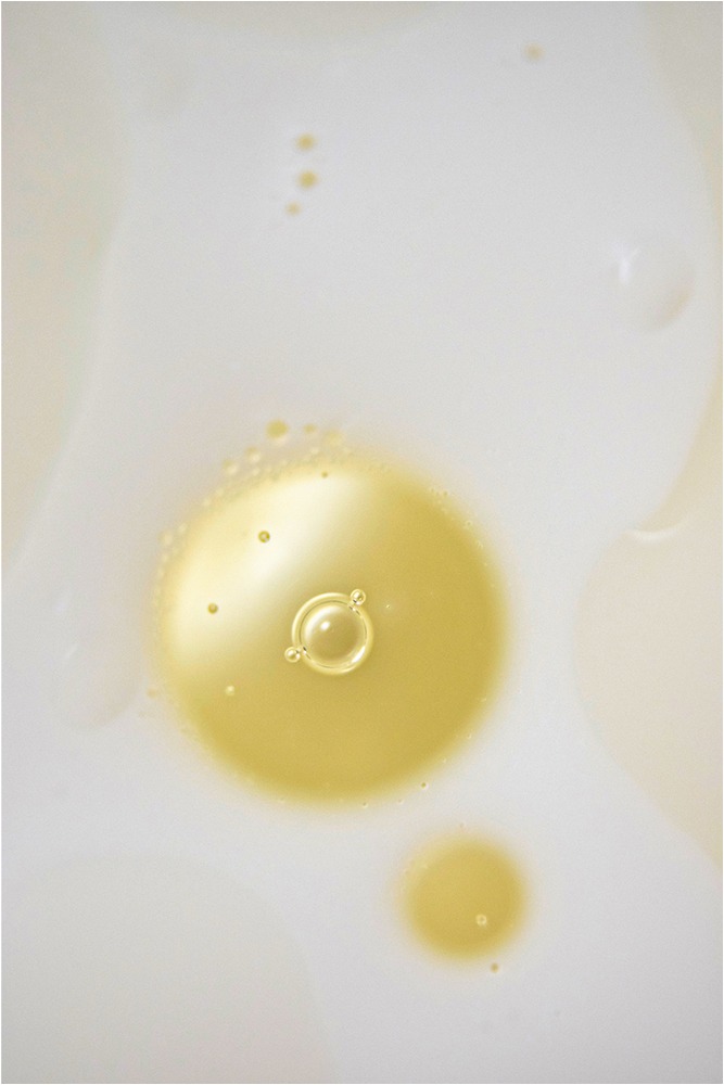 1819 Forum Liquide 2