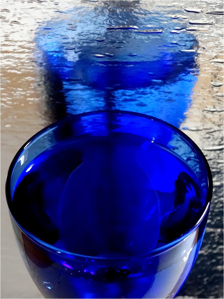 1819 Forum Liquide 7