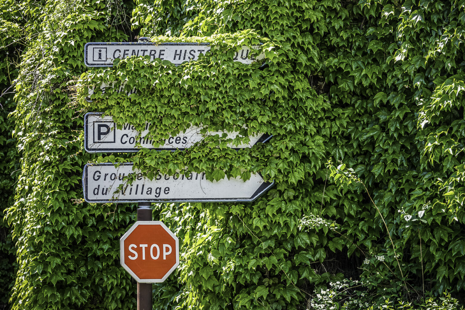 1920 Expo NatureReprendSesDroit FestiJardins 5