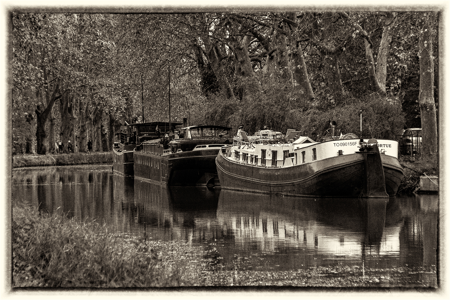 Martial Bourget