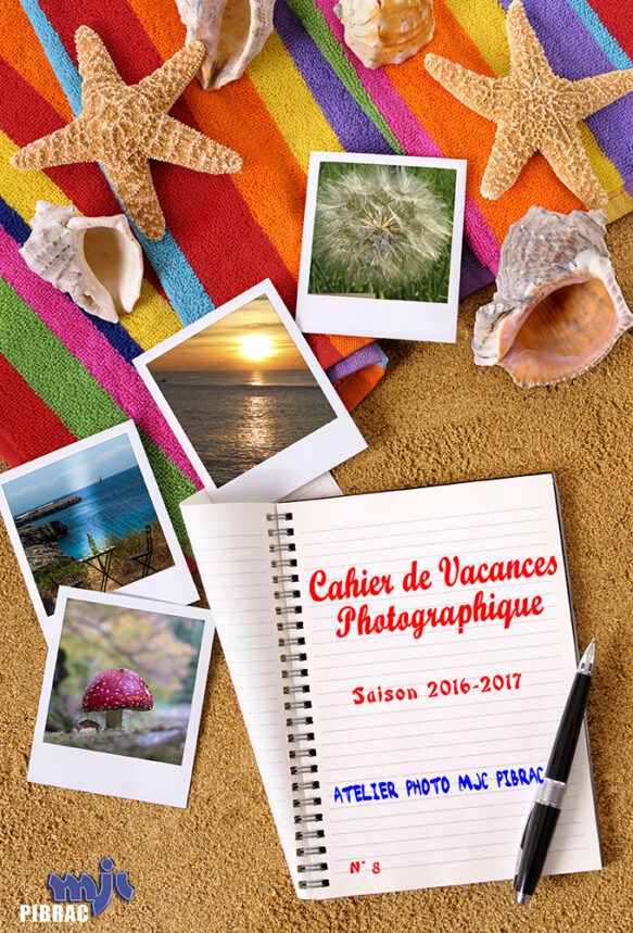 CDV n° 08 (2017)