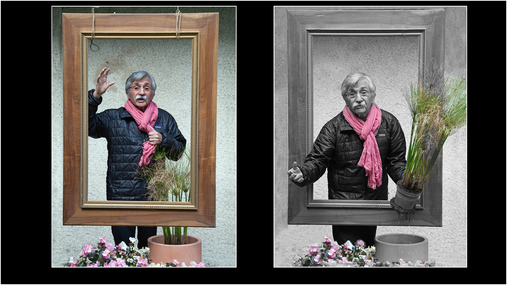 Club Photo MJC Pibrac