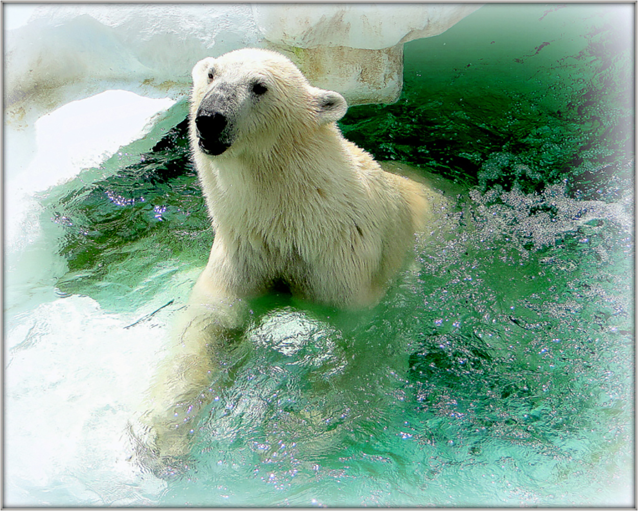 Club Photo MJC Pibrac